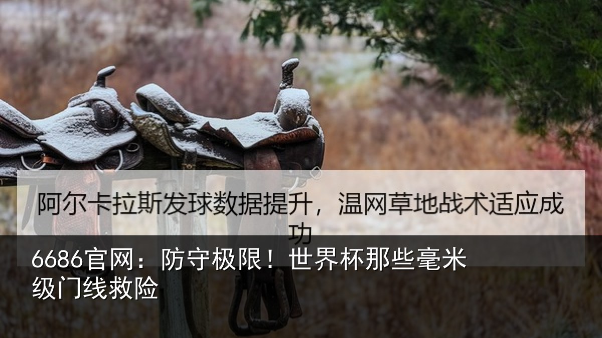 6686官网：防守极限！世界杯那些毫米级门线救险