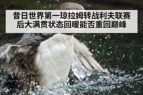 昔日世界第一琼拉姆转战利夫联赛后大满贯状态回暖能否重回巅峰 - 6686.com